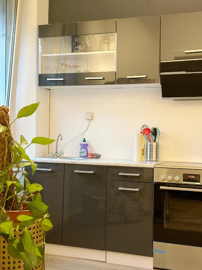 Igo Apartment 2 Schlafenzimmer Mit Waschmaschine Trockner Haustier Rheinufer 5Min Netflix Disney Plus 17-6 ドゥイスブルグ エクステリア 写真